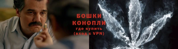 прущие грибы Навашино