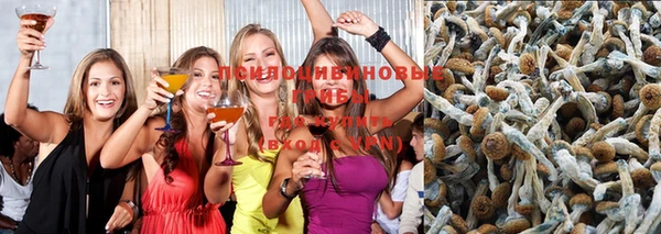mdpv Нея