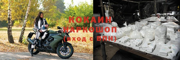 прущие грибы Навашино