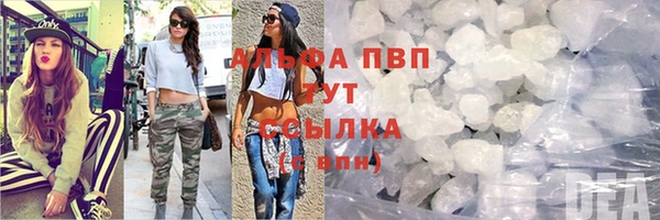 прущие грибы Навашино