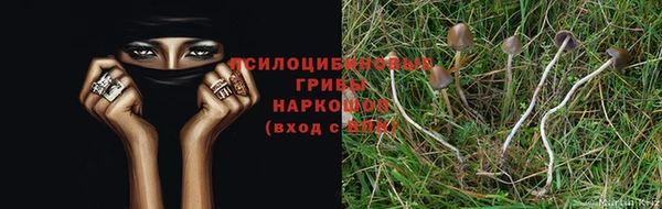 MESCALINE Михайловск